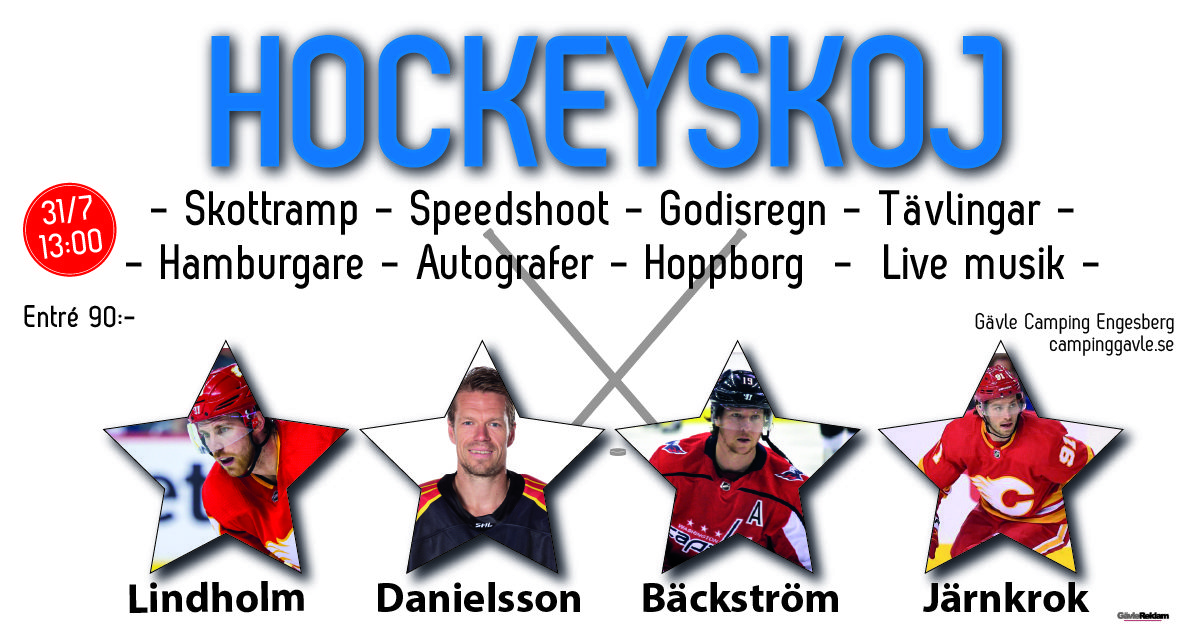 Hockeyskoj