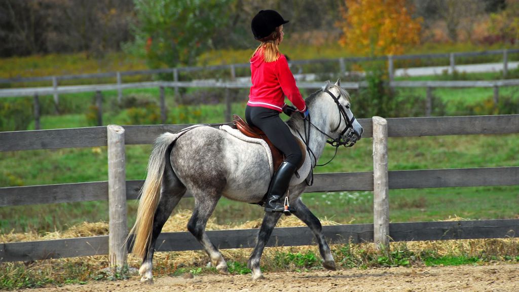 barn-och-ridning